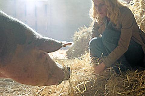 Charlotte Lindholm (Maria Furtwängler) wird von einem Schwein überrascht.  Foto: Schroeder/NDR
