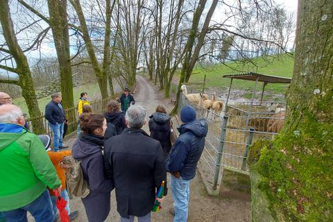 Zu Gast bei den Lamas: Tierparkleiter Volker Bitsch (Mitte, mit Hut) erklärt beim Frühlingsrundgang Wissenswertes über den Bergtierpark.