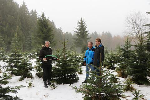 Landrat Christian Engelhardt (links) schlägt bei Familie Bauer in Hammelbach, zu der Walter und Marvin Bauer (rechts) gehören, einen Weihnachtsbaum. Foto: Katja Gesche