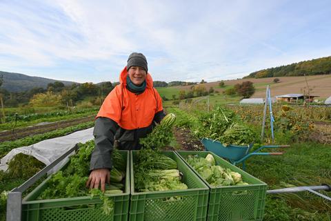 Vivian Glover mit frischer Bio-Ernte in ihrem Gemüsegarten Hoxhohl. Die Solidarische Landwirtschaft in Modautal bekommt immer mehr Kunden.