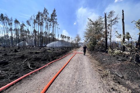 Verbranntes Waldstück bei Muna-Gelände in Münster