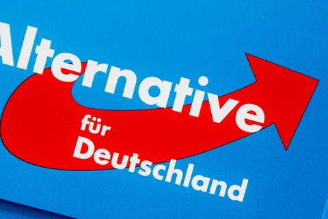 Das Logo der AfD auf einer Parteibroschüre.