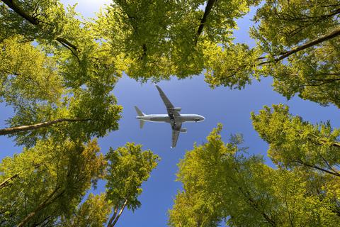 Immer wieder lassen Flugzeuge Kerosin über Waldgebieten ab.  Foto: Frank Wagner - stock.adobe.com