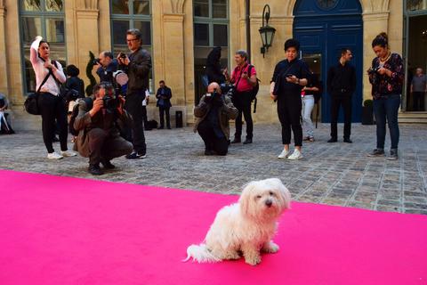 Fashion Week in Paris mit Fleurchen auf dem pinkfarbenen Teppich. Foto: Anja Kossiwakis