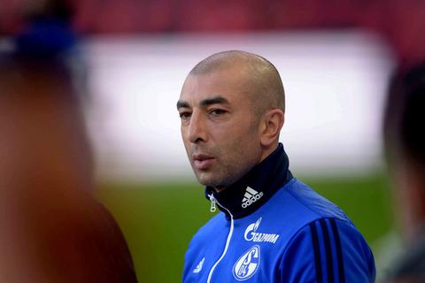 Schalkes Trainer Roberto di Matteo. Foto: dpa