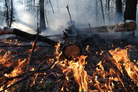 Ein Waldbrand im Gebiet Gorny Ulus (Jakutien). Über Monate brennt es schon in Russlands Wäldern. Präsident Putin nennt das Ausmaß beispiellos. Weil die Behörden nicht Herr der Lage werden, helfen Freiwillige. Archivfoto: Valeriy Melnikov/Sputnik/dpa