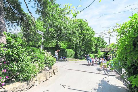 Der Philosophenweg auf dem Gelände des Opel-Zoos war bis jetzt auch für Bürger offen, die nicht in den Zoo wollten. Foto: dpa