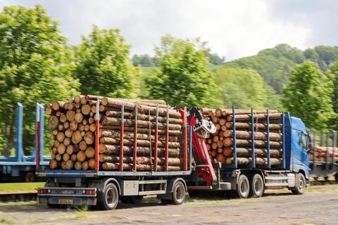 Ein Holztransporter beim Abtransport: Sägewerke klagen darüber, dass die Holzpreise zu hoch seien. Foto: dpa
