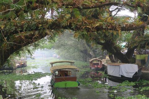 Keralas Backwaters erstrecken sich über hunderte von Quadratkilometern zwischen Kochi im Norden und Kollam im Süden bis nach Kottayam im Osten.Foto: Armin Herb  Foto: Armin Herb