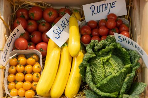 Bio-Gemüse wird derzeit eher in Discountern und Supermärkten gekauft. Foto: dpa